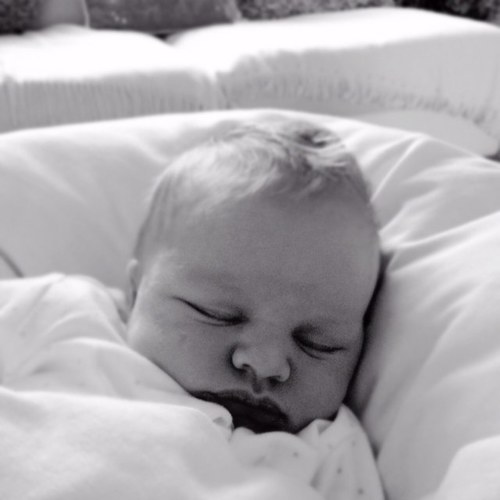 davie1704's profile picture. 