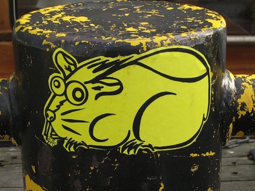 RageOptics's profile picture. #teamfollowback #tigersblood #randomhashtag #followback