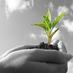 AgricultureDev (@agriculturedev) Twitter profile photo AgricultureDev (@agriculturedev) Twitter profile photo