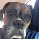 PETER HANCOCK - @novatonpete - Twitter