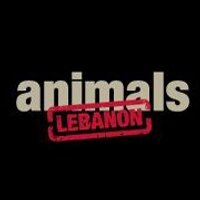 AnimalsLebanon(@AnimalsLebanon) 's Twitter Profile Photo