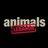 AnimalsLebanon's profile image