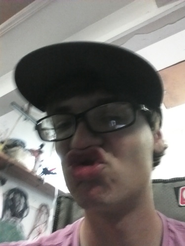 KevinAlpaca's profile picture. I'm a Polish Beast!