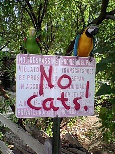 parrots, Ustream, watch us and chat at:
http://t.co/MtNFutOh
PiratenParteiNrw
