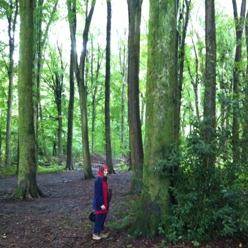 lolwa_decart's profile picture. عربية  و مسلمة و مدمنة تعلم 
Arabic and muslim women,addicted to learn