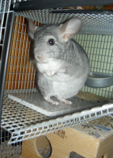 andytriana110's profile picture. 