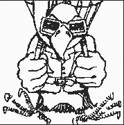 skysteps's profile picture.