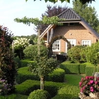 The Box-Tree Cottage is een knusse vrijstaande Bed & Breakfast gelegen aan de rand van Ospel in Midden-Limburg.