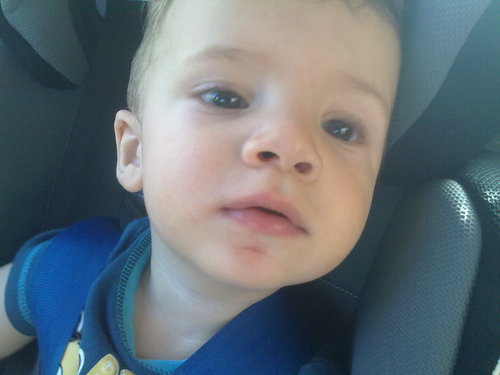 joseant38561691's profile picture. Hola nueva tienda de productos típicos de Rumanía y España fresco y económico de alta calidad!!!!! 
Os esperamos!!!!!