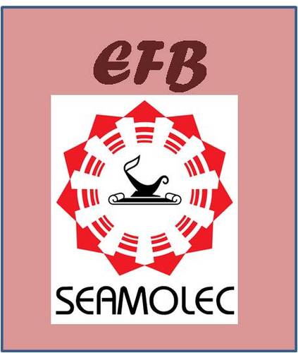 EFBSeamolec's profile picture. This is the official Twitter account of English for business course offered by SEAMEO SEAMOLEC