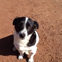 Michael Harcourt - @MichaelHarcourt - Twitter