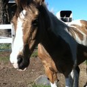 Madison Rose Kelso - @KelsoMadison - Twitter