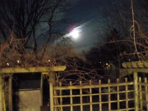 aleleeinn's profile picture. Founder & owner of Area51 Hotel & Casino. Human art in all its forms is all that makes this job tolerable. Music/Science/Humor