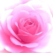 hyper_max's profile picture. 最近、Macを買いました。
このMacを使って何かやってみようと、日々企んでおります（笑）現在、アフィリも試行錯誤しながらいろいろやっております。最近ブログも始めました。もし宜しければ遊びにきてください♪