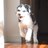 bourne_dl's profile image