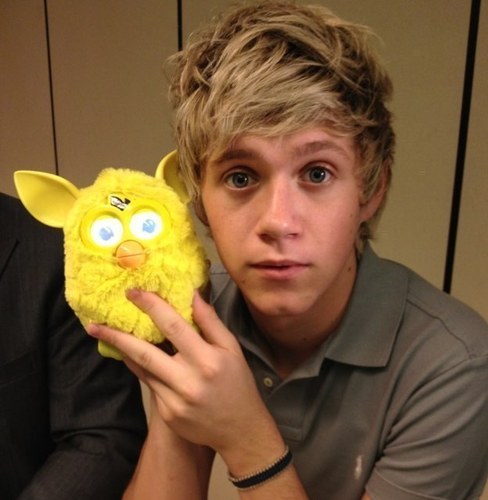 1DMrsHoran1D's profile picture. One Direction, Robbie Williams, Take That ❤❤❤