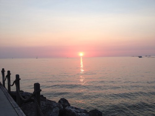 AMostardi's profile picture. 