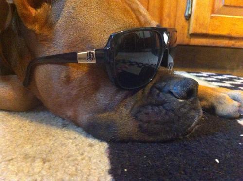 bakercomma's profile picture. die hard die hard fan