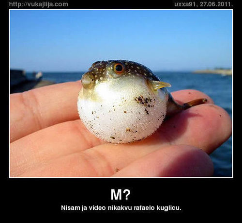 A lo que no tiene remedio...litro y medio.