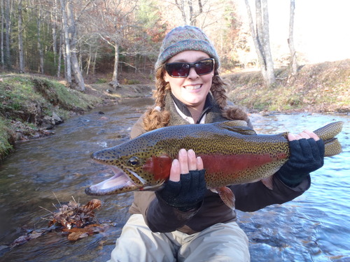 We are located in Dahlonega Georgia.  We offer full and half day trophy trout fly fishing trips and fly fishing lessons.