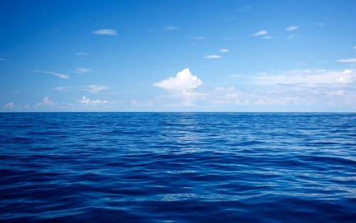 italianjob9's profile picture. 