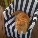 Connie J Bryan - @connie_bryan - Twitter