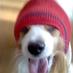Kohei Oguch! (@ohgreen_tomato) Twitter profile photo Kohei Oguch! (@ohgreen_tomato) Twitter profile photo