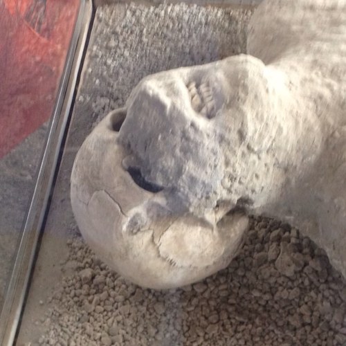 MaelorGeography's profile picture. .......The Maelor School Geography Department..... It has its feet in the ground and its head in the clouds. Look for MaelorGeography on YouTube !