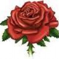 Barnes Rugby Club (@barnesrugby) 's Twitter Profile