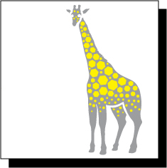 soonjae's profile picture. 