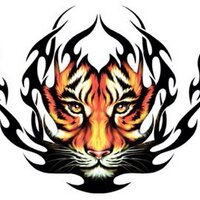 Damian Sullivan (@fuel_guzzler) 's Twitter Profile