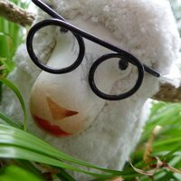 Geertrui (@geertrui64) 's Twitter Profile