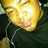 JeLiLoCC1987's profile image