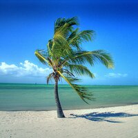 The Cruise Line Ltd. (@thecruiseline) 's Twitter Profile