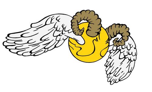 The first established team in the state of Virginia, we are the Virginia Commonwealth University WIZENGAMOT!