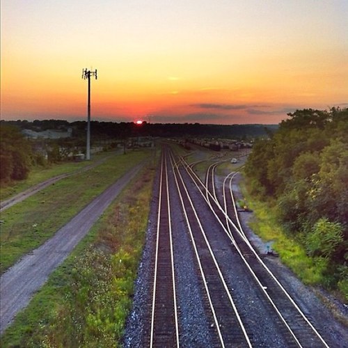 hamiltonretweet's profile picture. I retweet everything with the hashtag #hamont My tweets are not posted instantly sorry