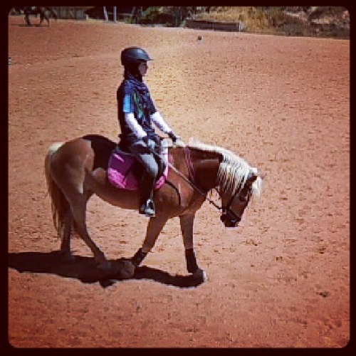 Born In 1997\1\10
My Dad Is From Palestine
My Mom Is From Austria
Love Horses And Show Jumping 
Addicted To Pizza