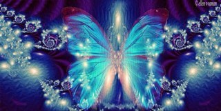 jandb1113's profile picture. 