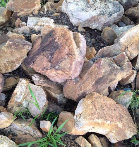 AliBoubacar's profile picture. 