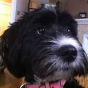 Kali Bear White - @KaliBearWhite - Twitter