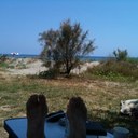 frank boland - @boland5 - Twitter