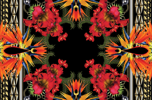 tmcgee22's profile picture. #1 Human