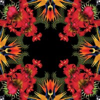 T.O.N.Y. (@tmcgee22) 's Twitter Profile