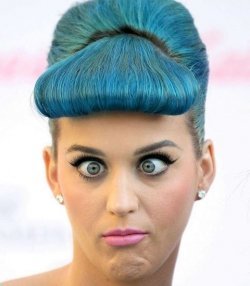 KatyCat, Belieber, Little Monster, Selenator, Direcioner, Lovatic, Navy, Britfan, Breezy, Bratz, Heartbeat, sou tudo, me deixa  ♥
