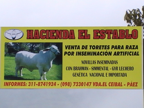 Me interesa el futuro porque es el sitio donde voy a estar.