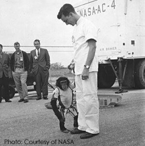 Terry_Firmer's profile picture. I live in Birmingham