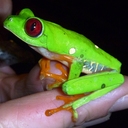 Laurie Doss - @martin_granny - Twitter