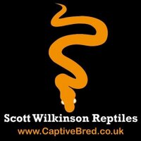 Scott Wilkinson (@captivebred) 's Twitter Profile