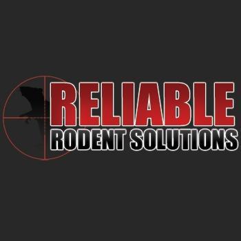 Reliable Rodent Solutions is a full service rodent proofing company. Rats, mice, raccoons, skunks, pigeons? We specialize in solving your rodent problem!