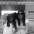 Montse_Solar's profile image